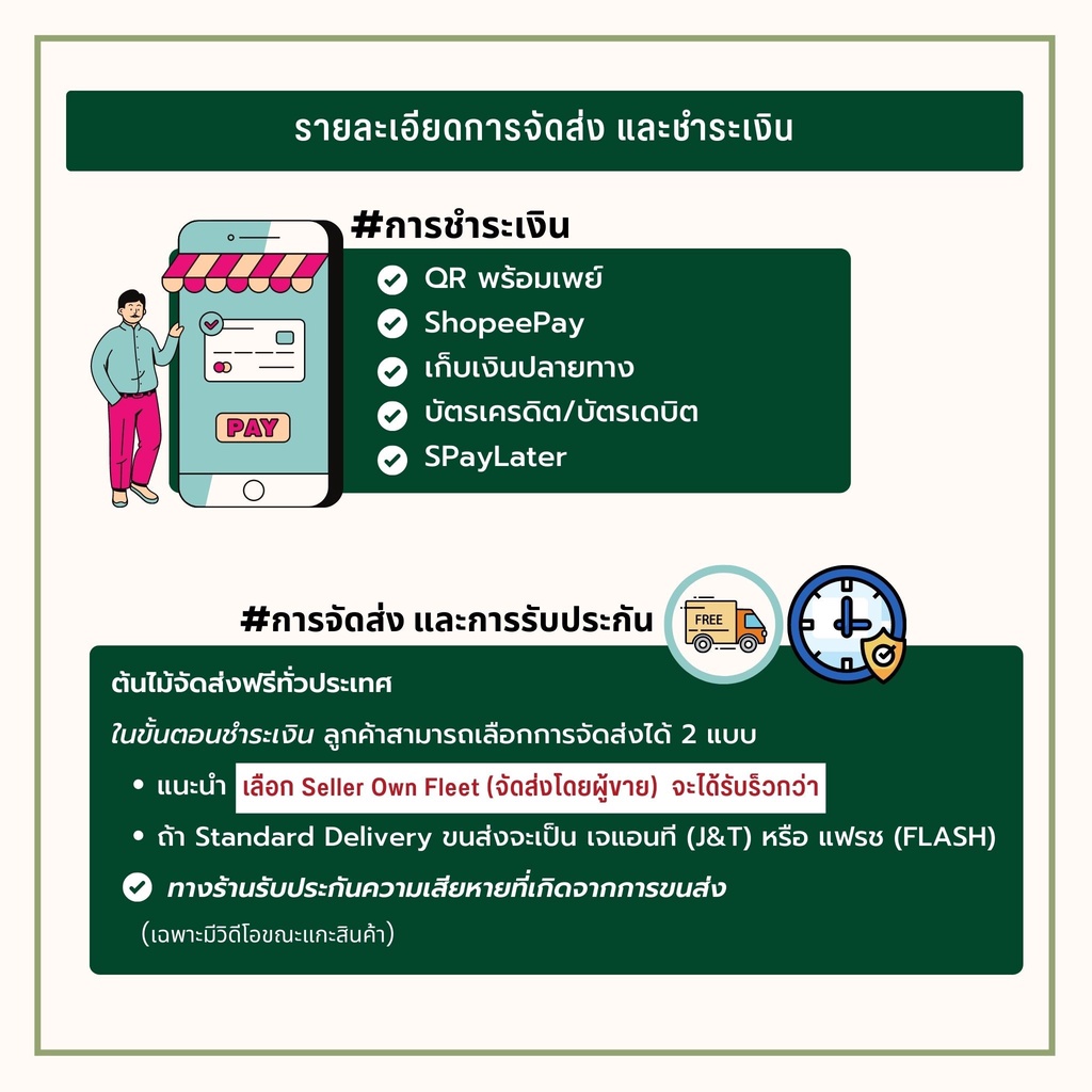 บอนสี-โวเคโน่แผลง-ส่งฟรี