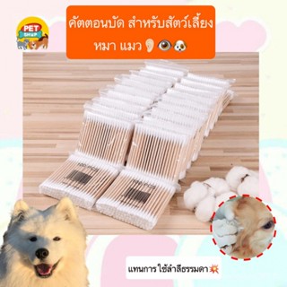 AL-391 คอตตอนบัด ไม้แคะหู สำหรับสัตว์เลี้ยง หมา แมว ที่ปั่นหู ไม้ปั่นหูแมว สุนัข ราคาถูก พร้อมส่ง