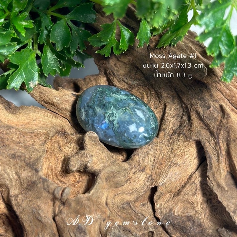moss-agate-มอสอาเกต-1-tumbled-หินแห่งความอุดมสมบูรณ์-ad-gemstone