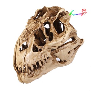 【AG】Individuality Unique Resin Dinosaurs Skull Model for Indoor