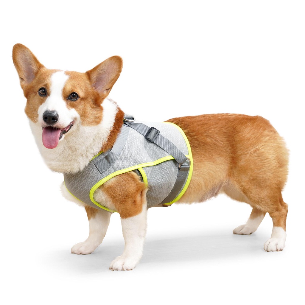 แจ็คเก็ตคูลเลอร์เสื้อกั๊กระบายความร้อนสำหรับสุนัขสำหรับเดินกลางแจ้ง-ไม่ต้องดึงดึงหรือสำลักอีกต่อไป