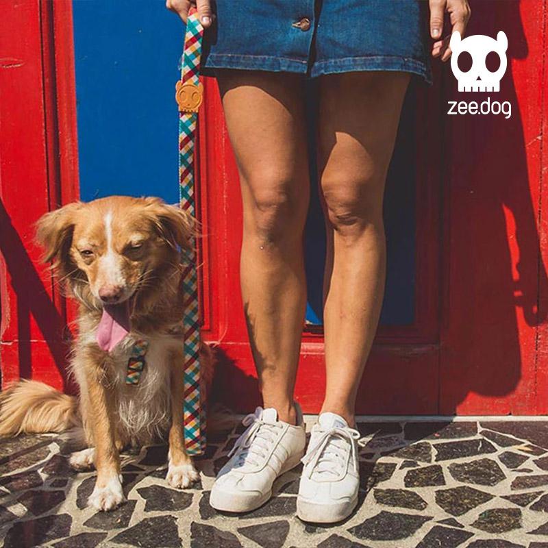 เชือกจูงสุนัข-zeedog-สายจูงสุนัขโกลเด้นรีทรีฟเวอร์พุดเดิ้ลคอร์กี้สุนัขขนาดใหญ่