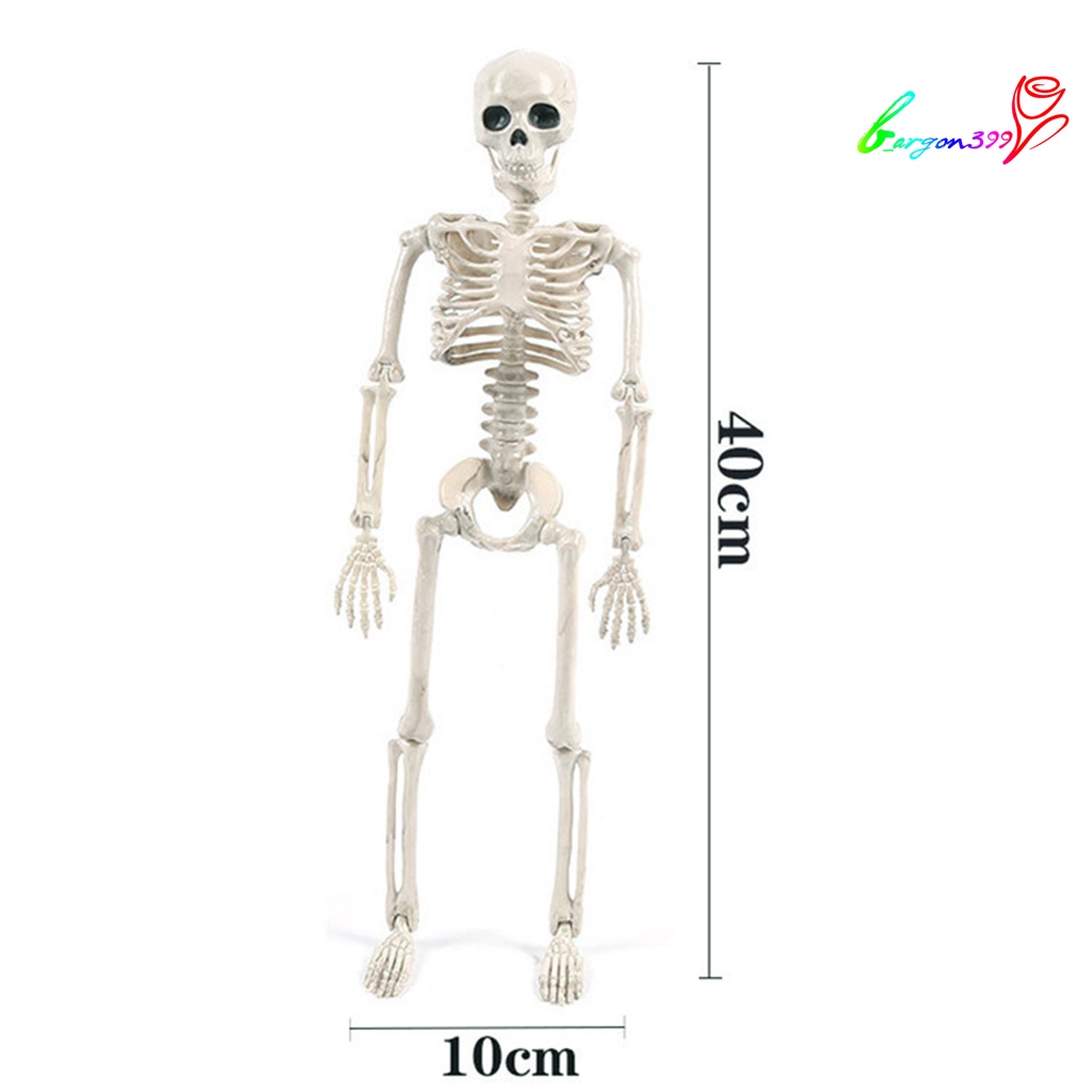 ag-halloween-skeleton-animated-foldable-plastic-couple-skull-bones-ornaments-decoration