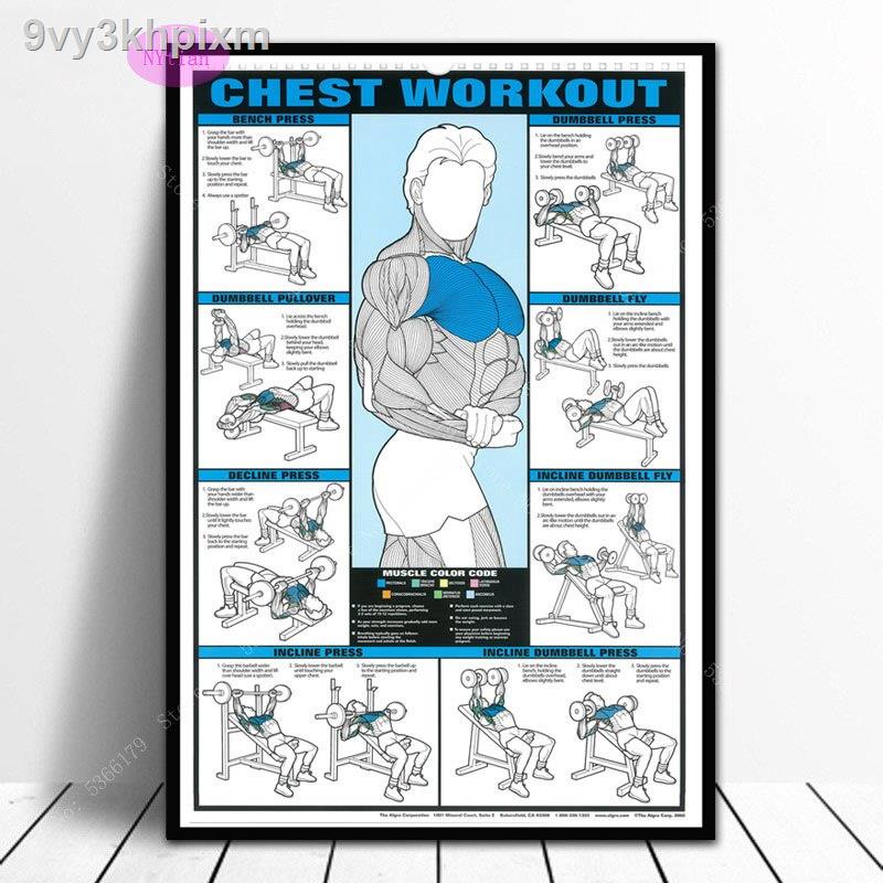 Nt1037 Muscle Bodybuilding Fitness Workout Exercise Poster Prints Wall ...