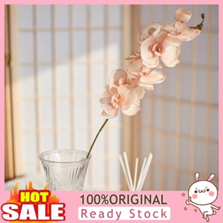 [B_398] 8 Heads Artificial Flower Easy Care Decorative Phalaenopsis Wedding Home Hotel Decor