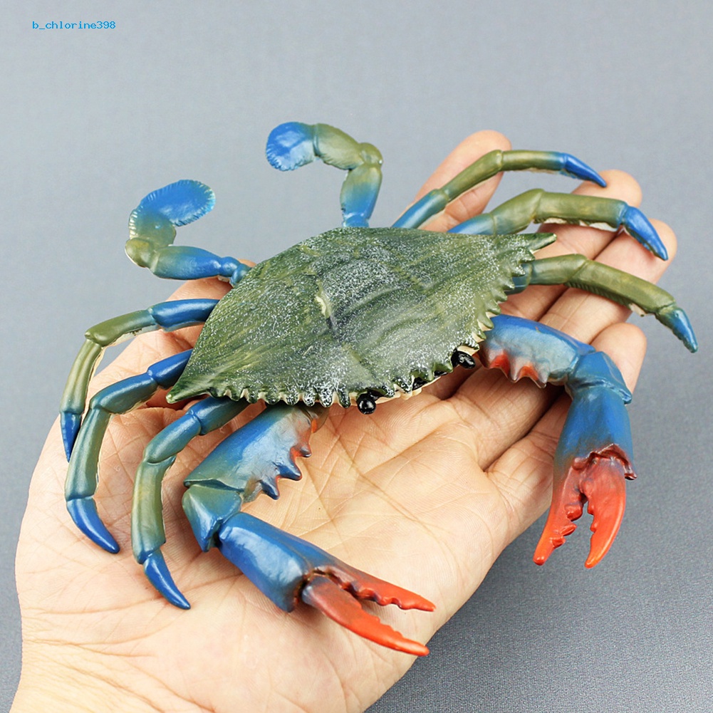 b-chlorine398-simulation-hermit-crab-marine-animal-pvc-model-desktop-decor-education-kids-toy
