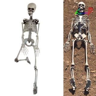 【AG】90cm Simulation Human Skeleton Ornament Halloween Party Bar Haunted Props
