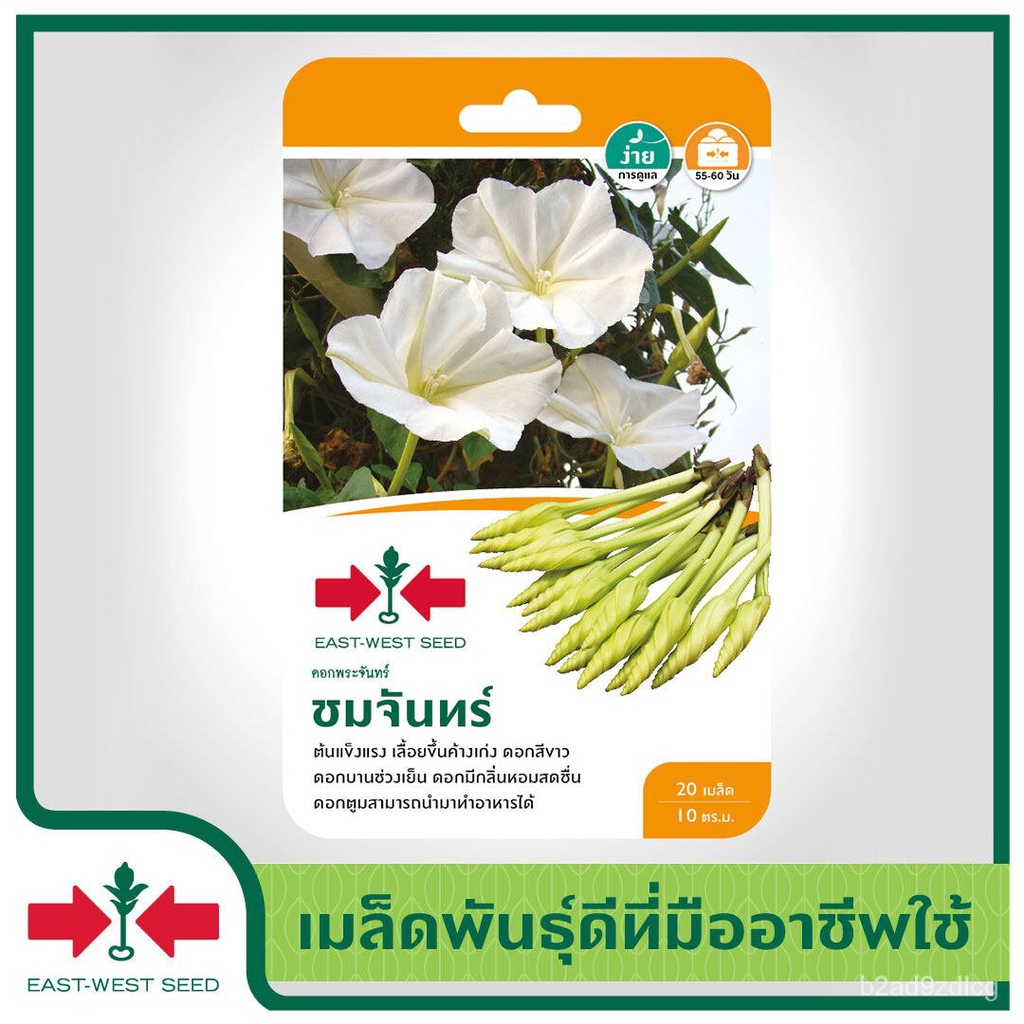 อินทรีย์็ด-อินทรีย์็ด-east-west-seed-อินทรีย์บาทพระจันทร์-moonflower-seeds-ชมจันทร์-อินทรีย์อินทรีย์-อินทรีย์-ผั