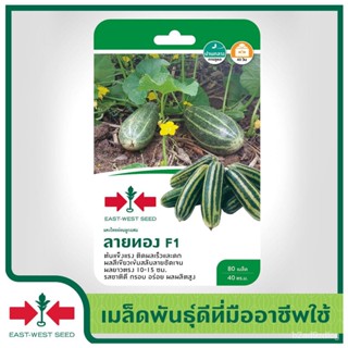 อินทรีย์็ด อินทรีย์็ด East-West Seed อินทรีย์บาทไทยอ่อนลูกผสม  (Welon seeds) ลายทอง F1 อินทรีย์อินทรีย์ อินทรีย์ ผัก