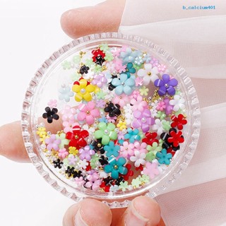 แคลเซียมเรซิ่น ลายดอกไม้ 3D สําหรับตกแต่งเล็บ Diy
