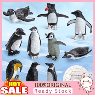 [B_398]  11Pcs/ Set Penguin Model Smallest Collectable Solid Antarctic Animals Penguin Figure Toy Combo for Shelf Decor