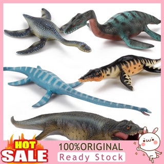 [B_398]  Children Figurine Toy Simulation Educational Ancient Prehistoric Marine Life Model for Showcase Display