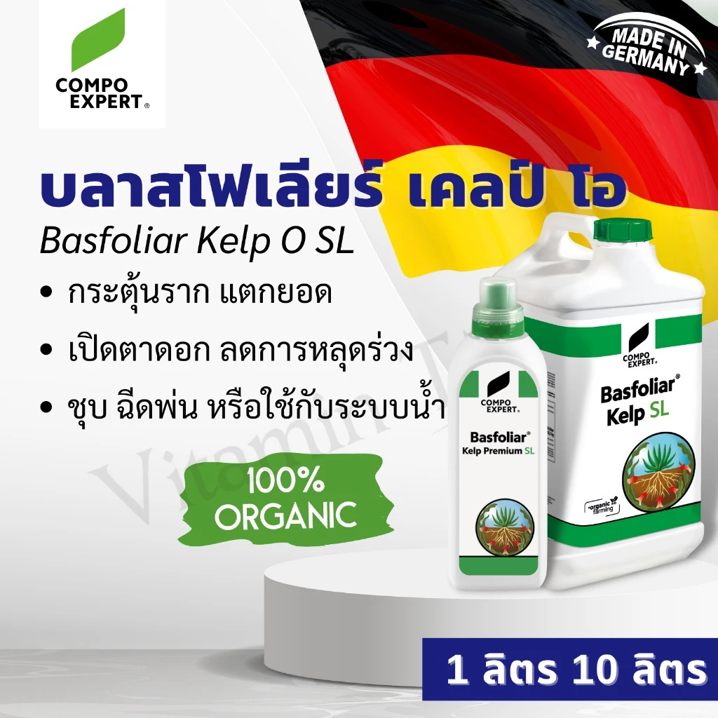บลาสโฟเลียร์ เคลป์ โอ สารกระตุ้นการเจริญเติบโต เร่งราก เปิดตาดอก ออแกร์นิค 100% นำเข้าจากเยอรมัน