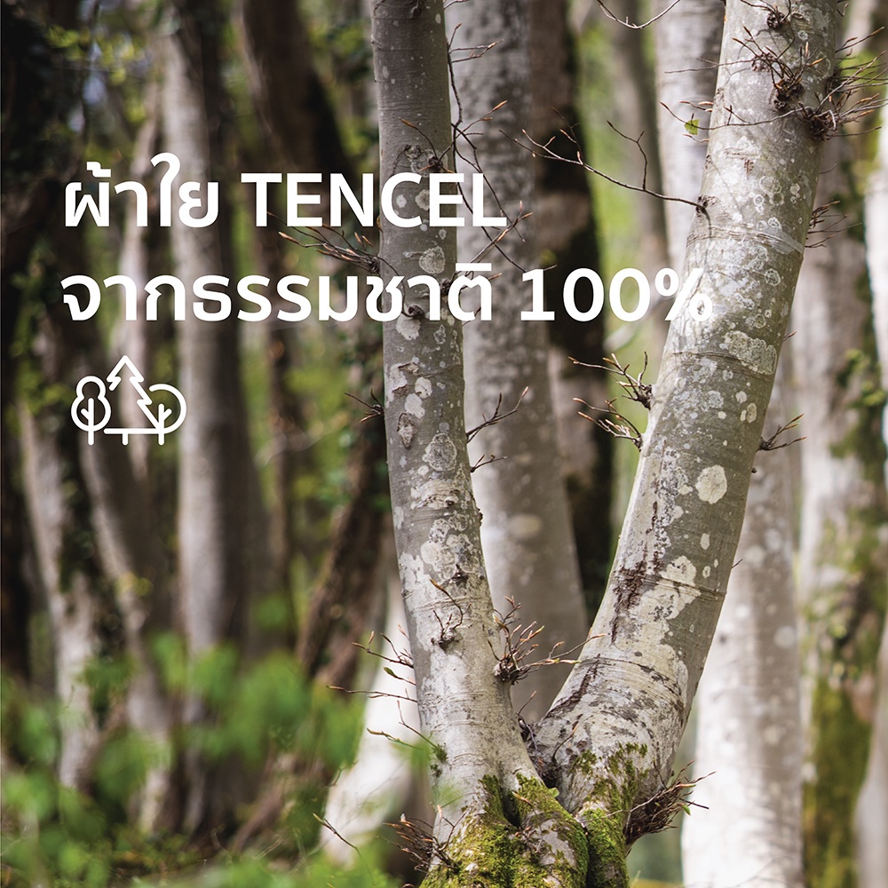 omazz-ผ้าปู-3-5ฟุต-1ชิ้น-collection-tencel-smooth-รหัส-angel-falls