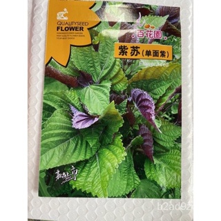 อินทรีย์็ด ใหม่็ด ใบงาแดง - เขียว เกาหลี ( ชิโสะ ) ( Shiso Korean Sesame Seed ) บรรจุ 200 ใหม่็ด ใหม่ บาท