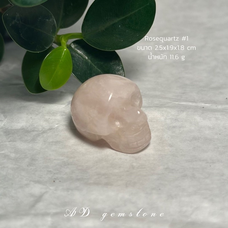 rosequartz-โรสควอตซ์-1-หัวกระโหลก-หินแห่งความรัก-และการให้อภัย-ad-gemstone