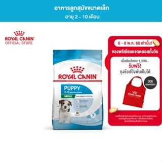 ภาพหน้าปกสินค้าRoyal Canin Mini Puppy 800g อาหารเม็ดลูกสุนัข พันธุ์เล็ก อายุ 2-10 เดือน (Dry Dog Food, โรยัล คานิน) ซึ่งคุณอาจชอบสินค้านี้