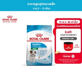 ภาพขนาดย่อของภาพหน้าปกสินค้าRoyal Canin Mini Puppy 4kg อาหารเม็ดลูกสุนัข พันธุ์เล็ก อายุ 2-10 เดือน (Dry Dog Food, โรยัล คานิน) จากร้าน royal_canin_official_shop บน Shopee