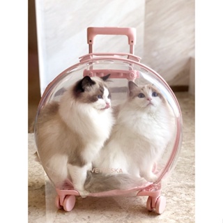 ❈Uncarded Bubble Box ความจุขนาดใหญ่ Cat Dog Go Out กระเป๋าใส่แมวแบบพกพา Space Capsule Pet Backpack กระเป๋าใส่รถเข็นแบบใส