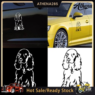 🚀Cocker Spaniel สติกเกอร์ติดรถยนต์สติกเกอร์ติดรถยนต์ PET Decal ตกแต่งรถบรรทุกจัดแต่งทรงผม