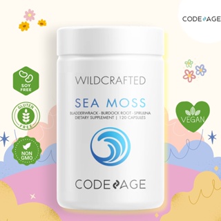 CODEAGE Raw Wildcrafted Sea Moss - 120 Capsules 🥒🍃สาหร่ายแบลดเดอร์แรค สไปรูลิน่า รากเบอร์ด็อก🥒🍃