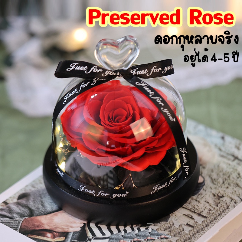 กุหลาบจริง-preserved-rose-ดอกกุหลาบอมตะ-ในโหลแก้ว