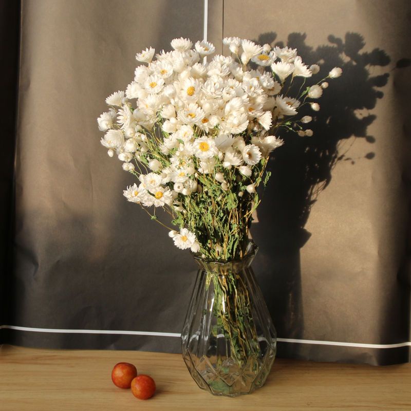 ยูนนานดอกไม้แห้ง-rudan-bird-chamomile-small-fresh-study-room-decoration-nordic-style-home-decoration-natural-real-flo