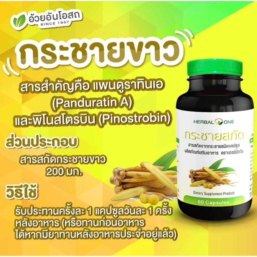 กระชายสกัด-สารสกัดจากกระชายชนิดแคปซูล-ผลิตภัณฑ์เสริมอาหาร-ตราเฮอร์บัลวัน-herbal-one-brand-บรรจุ-60-แคปซูล-1ขวด