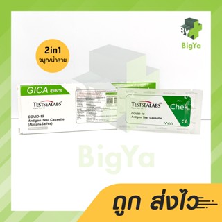 Gica Atk Testsealabs Nasal/Saliva Covid Test ชุดตรวจโควิด จมูก/น้ำลาย เขียว 1 เทส