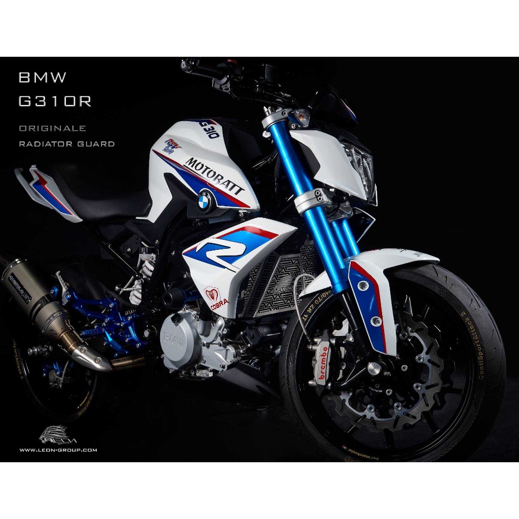 Leon การ์ดหม้อน้ำ รุ่น Originale สำหรับ BMW G310R SILVER A441 | Shopee ...