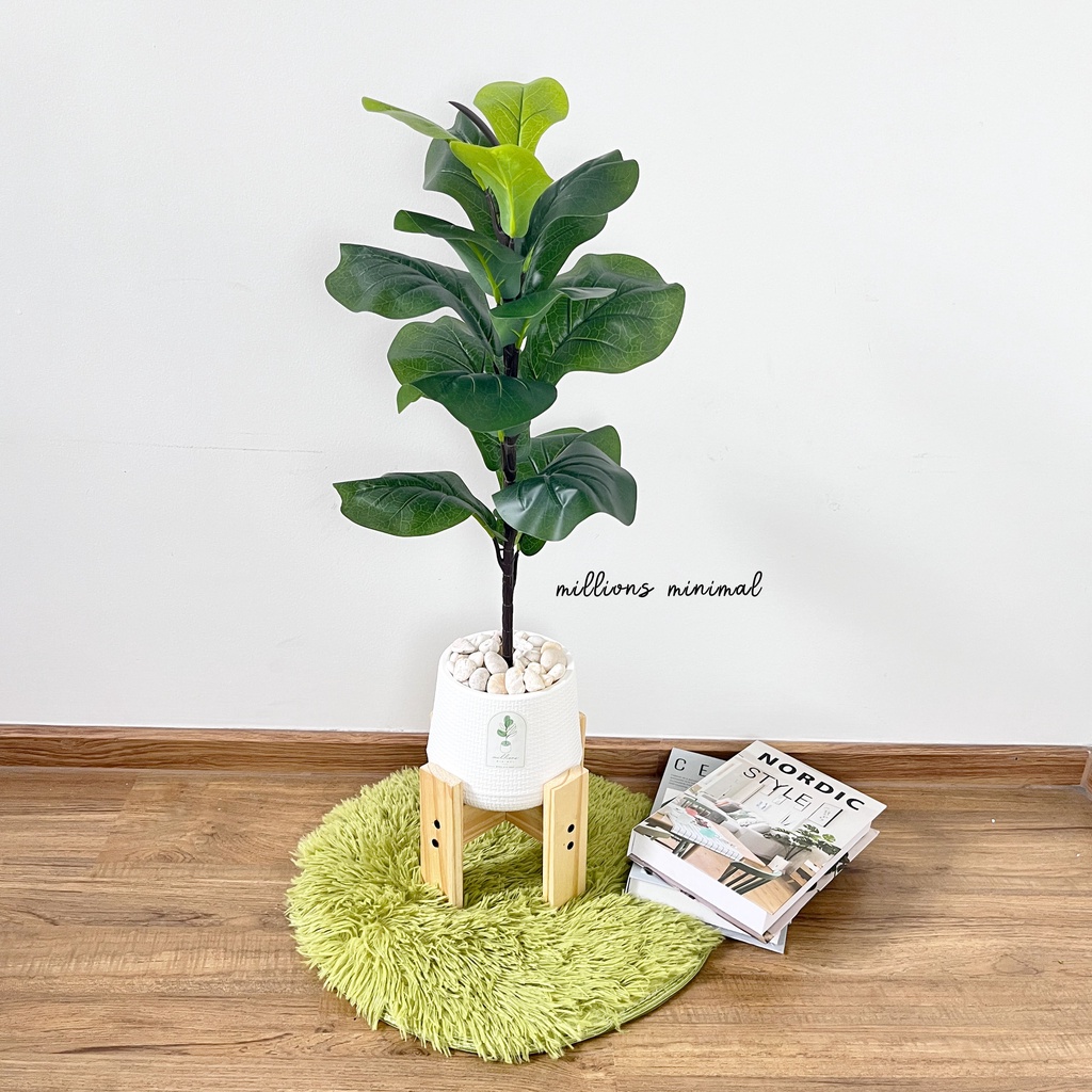 Cheapest fake tree, one tree, a monster tree with a minimalist pot, a