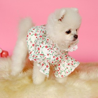 เสื้อหมา เสื้อแมว สไตล์เกาหลี ลายดอกไม้ | พร้อมส่ง จาก Clawset.bkk