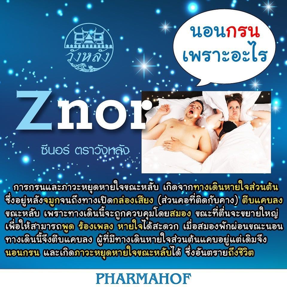 ลดเพิ่ม-8-znor-ซีนอร์-แก้อาการนอนกรน-บรรจุ-1-ขวด-30-แคปซูล