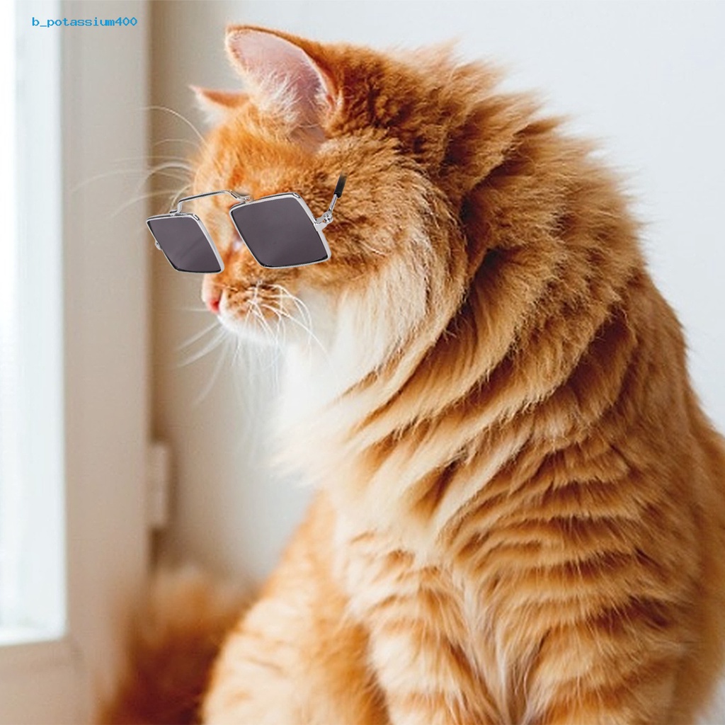 pota-แว่นตากันแดดแฟชั่น-ทรงสี่เหลี่ยม-สําหรับสัตว์เลี้ยง-สุนัข-แมว