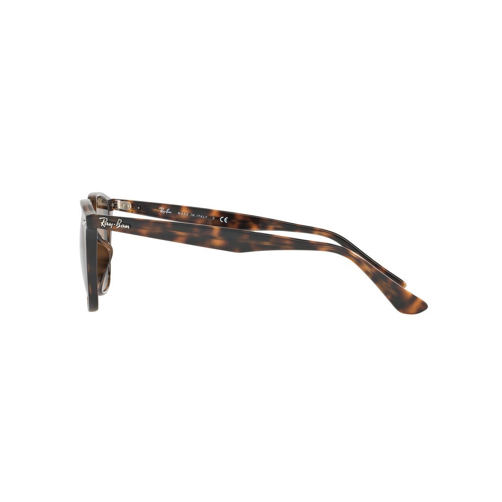 Ray-Ban - RB4258F 710/73 แว่นตากันแดด rayban | Shopee Thailand