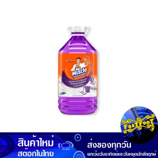 น้ำยาถูพื้น กลิ่นไวลด์ ลาเวนเดอร์ ขนาด 5 ลิตร มิสเตอร์ มัสเซิล Mr. Muscle Floor Cleaner Wild Lavender Scent