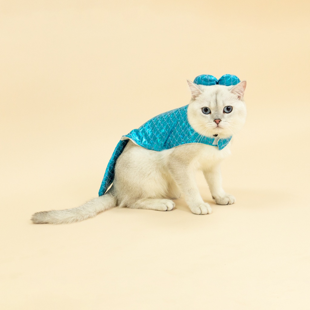พร้อมส่ง-ชุดนางเงือก-ชุดหมาแมวแฟนซี-ชุดปลา-สีฟ้า-clawset-bkk