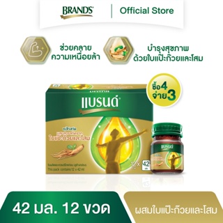 [ซื้อ 4 จ่าย 3] แบรนด์ซุปไก่สกัด ผสมสารสกัดจากใบแปะก๊วยและโสม 42 มล. แพค 12 ขวด