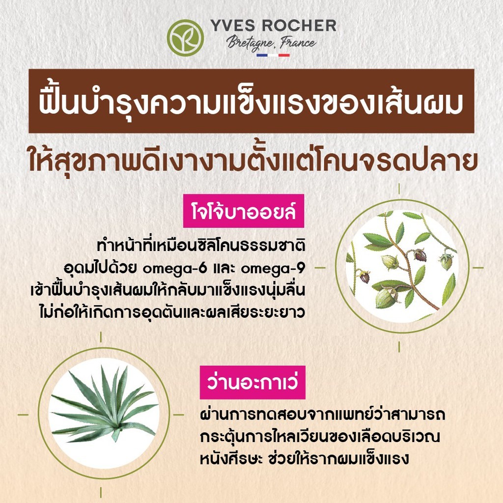 ของแท้-100-ผมแห้งเสีย-แข็งแรงขึ้น-30-เท่า-yves-rocher-reparation-universal-botanical-balm-150-ml-อีฟโรเช่