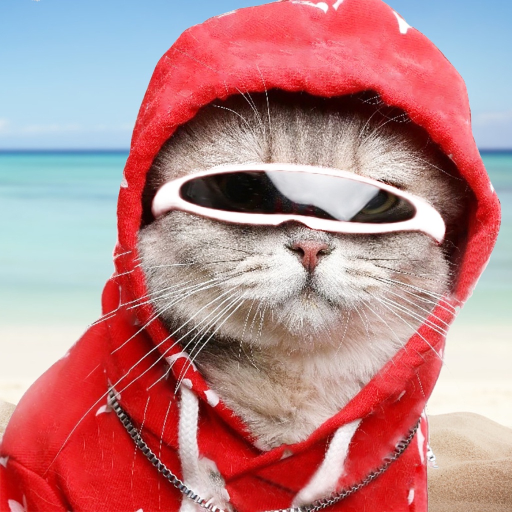 pota-funny-cat-dog-windproof-glasses-eye-protection-sunglasses-photo-prop-pet-supply