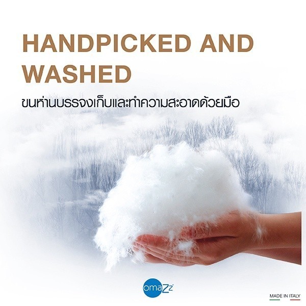 Omazz รุ่น โนเบิล ไวท์ ดาวน์ คอลเล็คชั่น (Solf) หมอนหนุนขนห่าน ไวท์ กูส ดาวน์ 100% น้ำหนัก 800 กรัม มอบสัมผัสแห่งการนอนที่นุ่มสบายและหรูหราเหนือระดับ