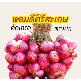 [ส่งฟรี] #1กิโล💥| ใหม่หอมแดง ศรีสะเกษแท้ ตรงปก หอมแดงไทย มัดจุก คุณภาพดี เนื้อแน่น หัวสวย photo