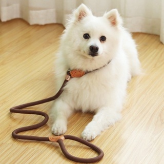 (พร้อมส่ง) สายจูงฝึก สายจูงฝึกสุนัข สีน้ำตาล มินิมอล | clawsetbkk
