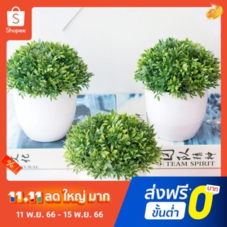 Pota Exquisite Artificial Plant for Wedding Realistic Grass Miniascape Natural