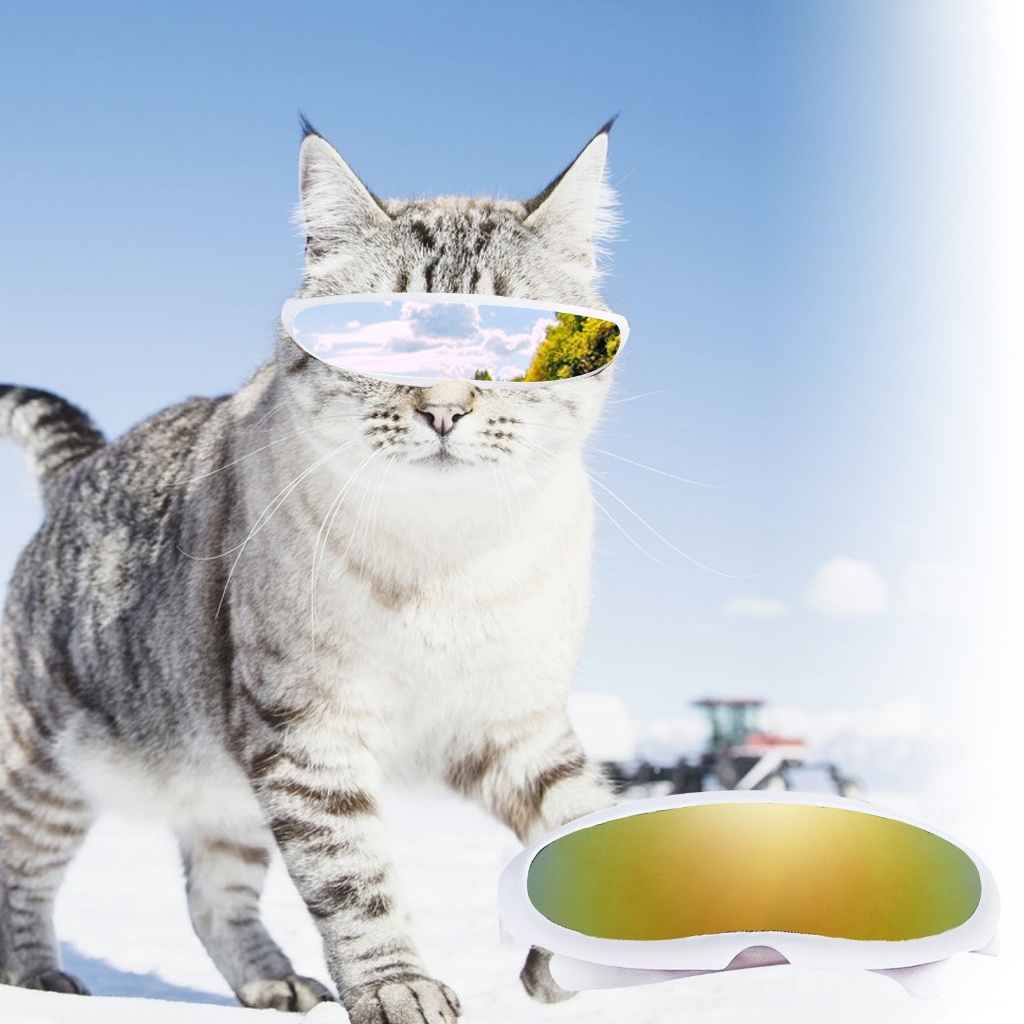 pota-funny-cat-dog-windproof-glasses-eye-protection-sunglasses-photo-prop-pet-supply