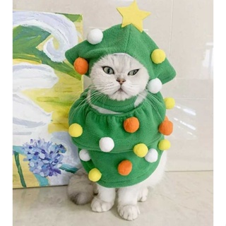 คอสตูมต้นคริสต์มาส บอลนุ่มนิ่ม คอสตูมหมาแมว สุดน่ารัก |Clawset.bkk
