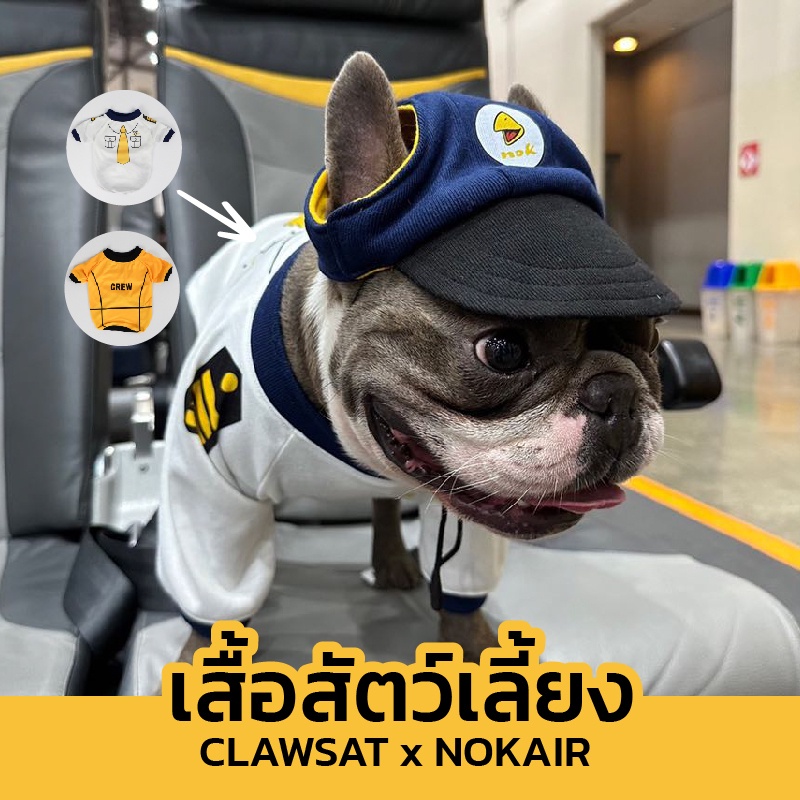 clawset-x-nok-air-เสื้อสัตว์เลี้ยงกัปตันนกแอร์-รุ่นลิมิเต็ด-จำนวนจำกัด-clawset-bkk