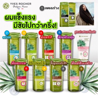 ลดเพิ่ม 8% 🔥 แชมพู ครีมนวด Yves Rocher anti hair loss gentle purify Anti Shampoo อีฟโรเช่ ลดผมร่วง [ รวมสูตร ]