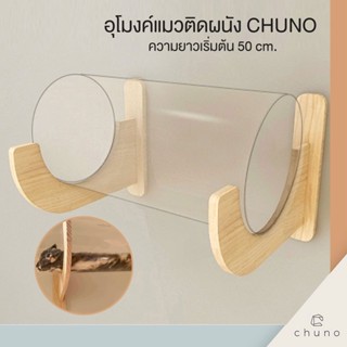 Chuno อุโมงค์แมวติดผนัง ไม้สนแท้พร้อม ท่ออะคริลิคใสยาว 50 cm