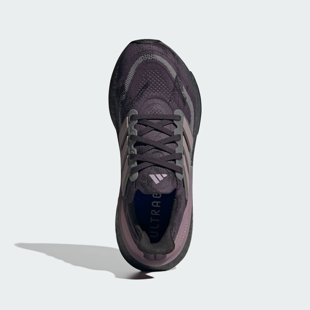 Adidas continental 8 purple deals